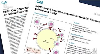 Research offering possible new treatements