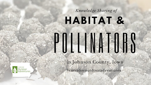 Iowa Outdoor Adventures - Pollinators & habitat