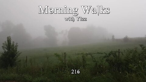 Morning Walks with Yizz 216 - KISS Politics