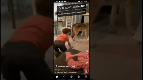 This is abuse, not love. At some point this child will be bitten and the dog will be blamed.