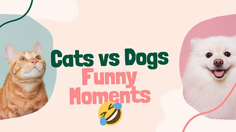 Cats and Dogs Funny Moments 🤣