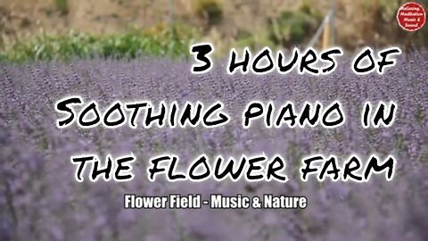 Soothing music with piano and countryside sound for 3 hours, music for relax and meditate