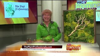 The Plant Professionals - 10/15/20