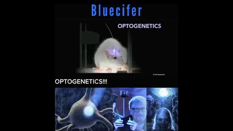 Bluecifer - Optogenetetics #FUCKtheJAB