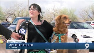 Hand-Dogs is helping Tucsonans throughout pandemic