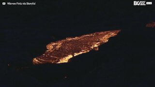 Lava strømmer fra vulkan på Hawaii