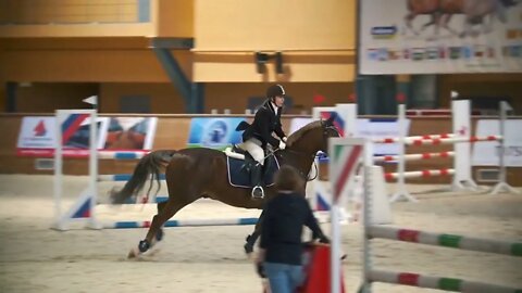 Equestrian championship - Young woman on her stallion jumping over the hurdle