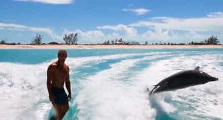 Wakeboarding-harrastajat surffaavat delfiinien kanssa!