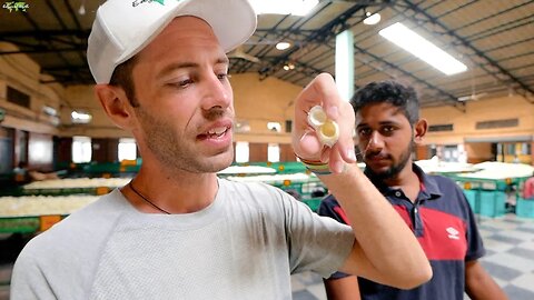 🐛 The LARGEST Silk Cocoon Market in ALL of ASIA | Solo Travel India | Karnataka Vlog (Ep. 71)