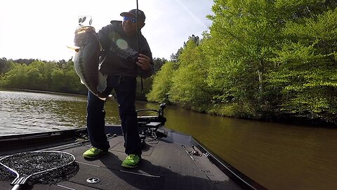 CVA Outdoors - Spinnerbait Bass Fishing | Central Virginia Outdoors