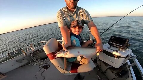 Catch clean and cook blue catfish, Drifting for summer blue catfish.