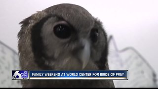 Family weekend at World Center for Birds of Prey