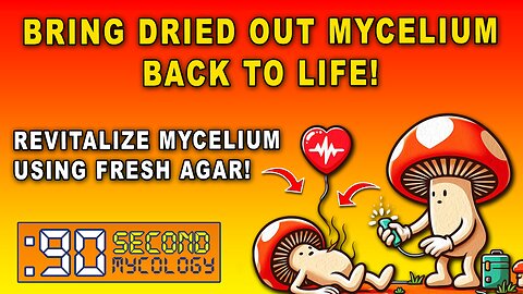 Bring Dried Mycelium Back to Life! \\ Fungi & Agar