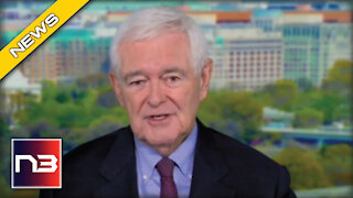 Newt Gingrich Just Explained Why Youngkin Will Win the Virginia Governor’s Race