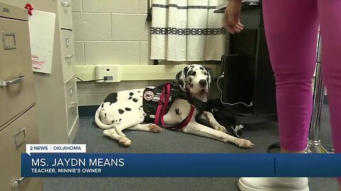 Teacher's service dog also serves students