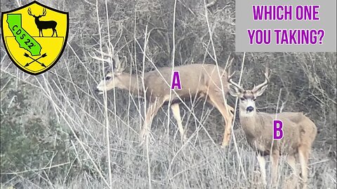 Late Season Archery Hunt for Mule Deer