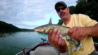 Trolling for Fish at Blue Marsh Lake