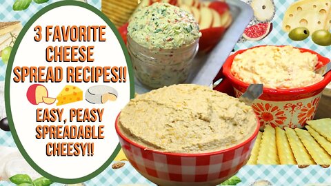 3 FAVORITE CHEESE SPREAD RECIPES!!