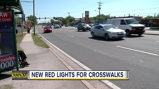 FDOT launches new effort to improve safety along Busch Blvd in Temple Terrace