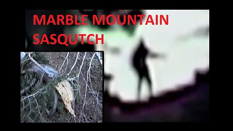 Marble Mountain Sasquatch: Commentary and analysis