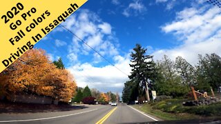 Issaquah Washington: Go Pro Driving, fall colors 2020