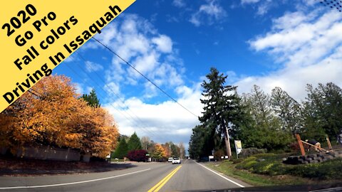 Issaquah Washington: Go Pro Driving, fall colors 2020