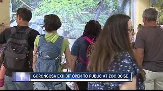 Zoo Boise's Gorongosa exhibit open to the public