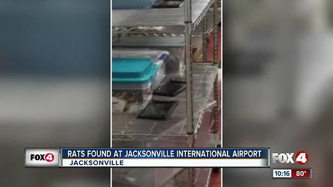 Rat Traps Found at Jacksonville International Airport