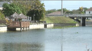 First-of-its-kind study testing the effect of algae blooms on humans