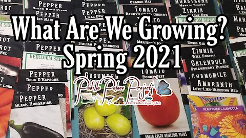 What we are growing | Spring 2021 | Zone 9b Container Gardening