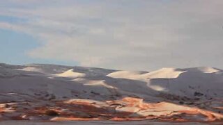 Sahara-ørkenen dekket av snø etter sjeldent klimatisk naturfenomen