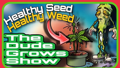 Nurturing Green Beginnings: Essential Tips Cannabis Seedlings - The Dude Grows Show 1,495