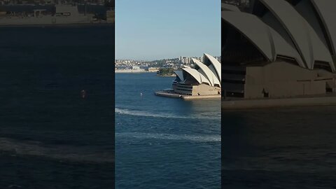 Exploring the Iconic Sydney Opera House: History, Architecture, and Performances #shorts