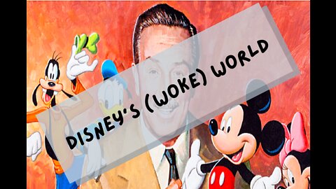 Disney’s (Woke) World