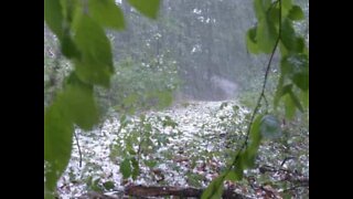 Ferocious hailstorm hits South Africa