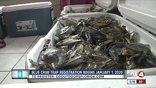 Recreational blue crab traps need to be registered beginning January 1st