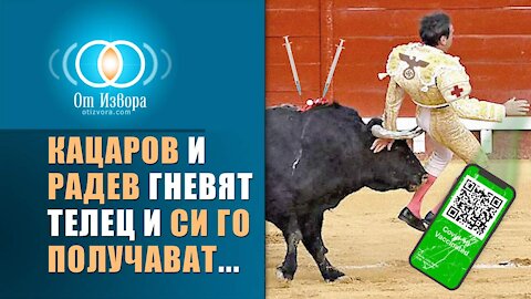 Кацаров и Радев ядосаха един Телец и получават две дози рога по меките части...