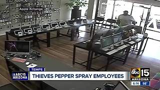 Thieves pepper spray employees during robbery