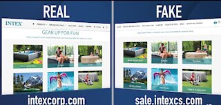 12 Scams of the Holidays: Fake websites to look like real ones