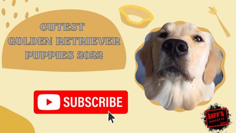 Try To Keep A Straight Face 🥴 Cutest Golden Retriever Puppies - Funniest 30 Minutes of Puppy Videos