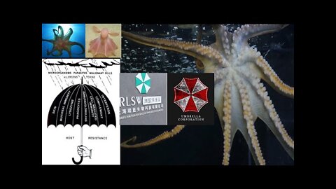 EntertheStars: Octopus Umbrella... Hydra Jab CONFIRMED... Alopecia Rabies Resident Evil Matrix!