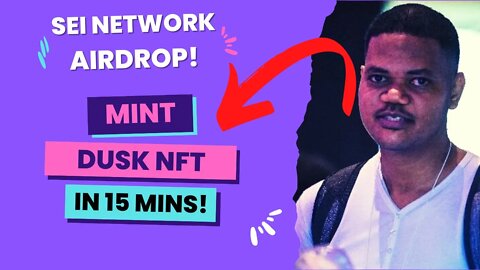 Sei Network Dusk Mint. All The Troubleshooting You Need To Mint This Testnet Airdrop NFT In 15 Mins.