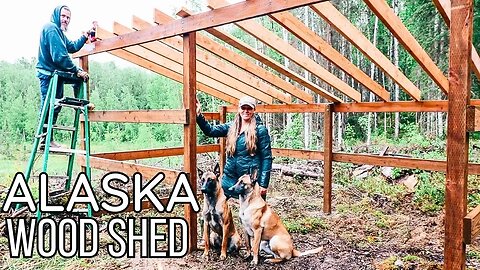 Wildlife Conservation Center! + Starting our DIY Wood Shed Build for our Off Grid Alaska Cabin...