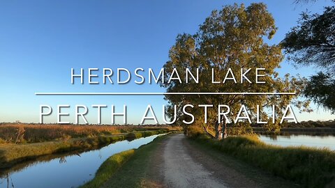 Exploring Perth Australia: Herdsman Lake