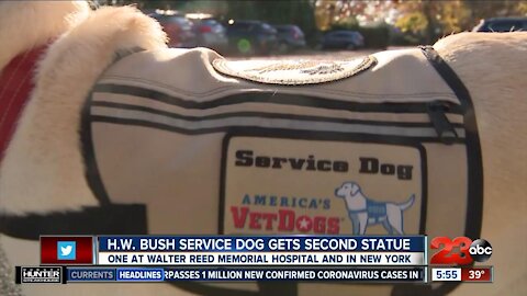 Sully H.W. Bush now has two statues honoring the pup