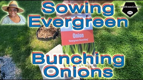 #sowingseeds #onion #evergreen Bunching #garden - #catshobbycorner