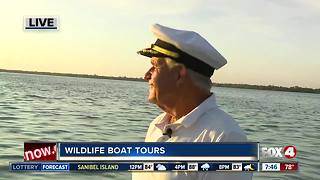 Wildlife Boat tours with Captain Jack