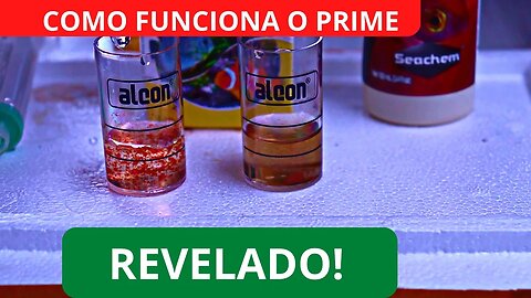 🔴 Misturei Tudo! Seachem Prime VS Labcon + Cloro Puro + Teste de Cloro