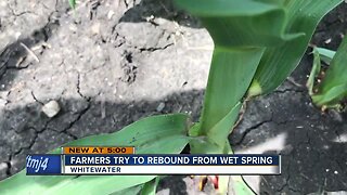 Farmers try to rebound from wet spring