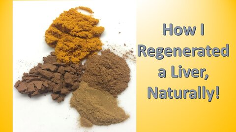 Natural Liver Regeneration for Cats: Part One